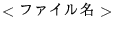 $<\hbox{$B%U%!%$%kL>(B}>$