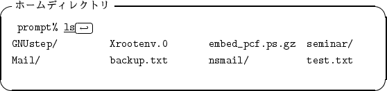 \begin{itembox}[l]{�ۡ���ǥ��쥯�ȥ�}
\begin{alltt}
\relax{} prompt% \underline...
...seminar/
\\ Mail/ backup.txt nsmail/ test.txt
\\ \relax \end{alltt}\end{itembox}