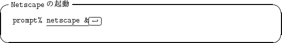 \begin{itembox}[l]{{\tt Netscape}$B$N5/F0(B}
\begin{alltt}
\relax{} prompt% \underli...
...ll\(\scriptstyle\hookleftarrow\)\hfill\crcr}}
\\ \relax \end{alltt}\end{itembox}
