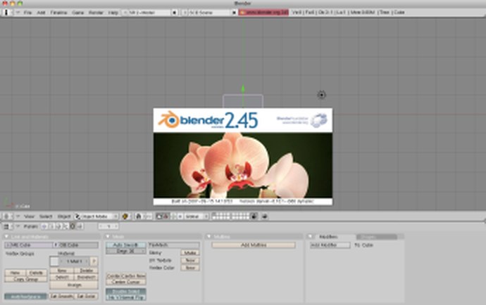 3D編集ソフト Blender 2.45 の画面